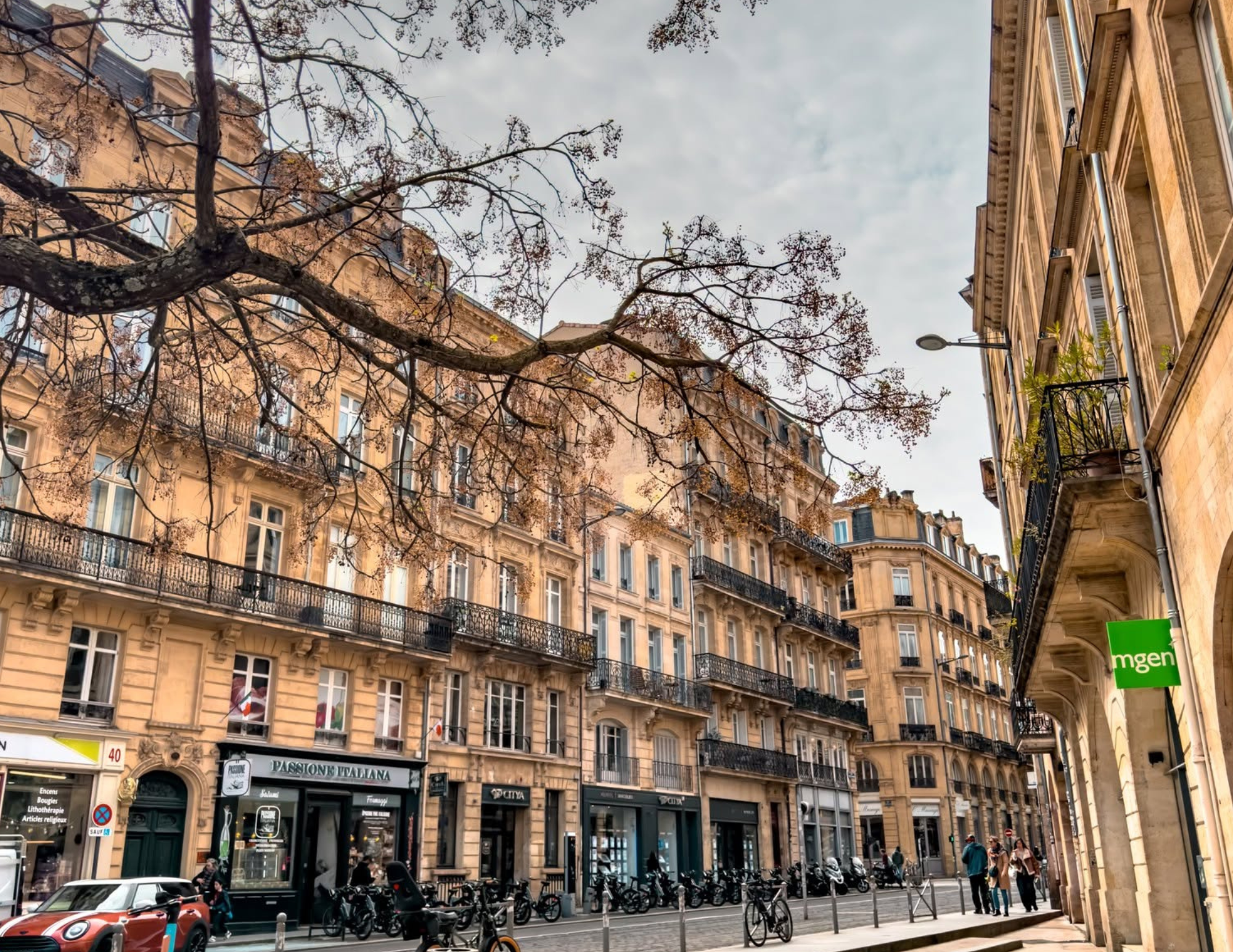 Bordeaux Travel Guide (3).png